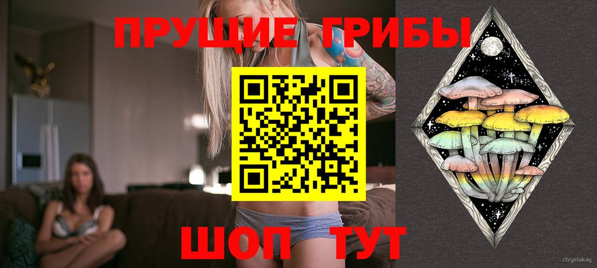 Галлюциногенные грибы Cubensis Ярославль